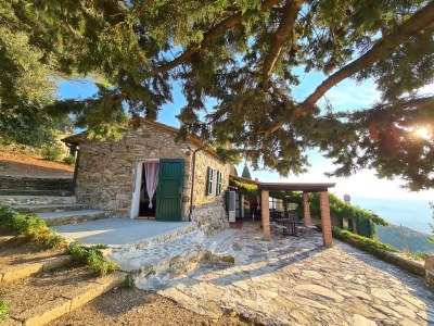Holiday house La Cinghialina - Outdoor photo 3
