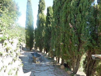 Holiday house La Cinghialina - Outdoor photo 6