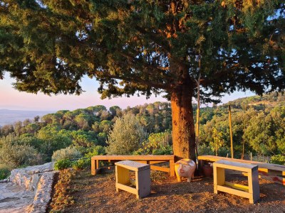 Holiday house La Cinghialina - Outdoor photo 7