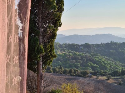 Holiday house La Cinghialina - Outdoor photo 8