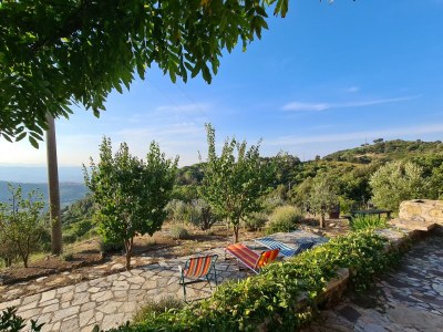 Holiday house La Cinghialina - Outdoor photo 10