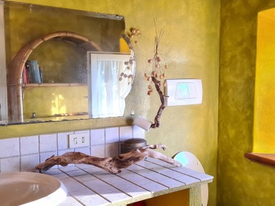 Holiday house La Cinghialina - Features photo 23