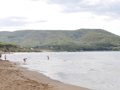 Holiday house La Cinghialina - Environment photo 26