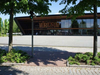 Holiday apartment "Seeadler". - Environment photo 15