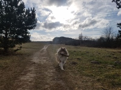 Holiday apartment "Seeadler". - Environment photo 17