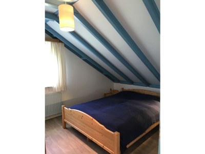 Holiday apartment Prinsepark 1st Floor - Features photo 16