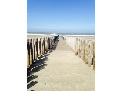 Holiday apartment Prinsepark 1st Floor - Environment photo 21