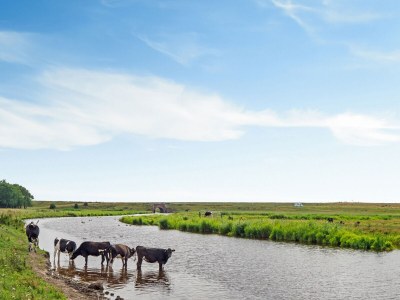 Holiday apartment Ems - Environment photo 25