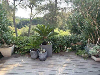 Holiday house Maison 58 Cavalaire - Outdoor photo 6