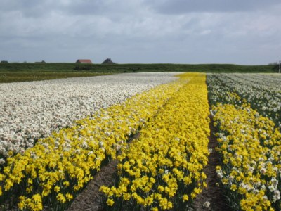 Holiday apartment Residence Pelikaan 144 - Environment photo 21