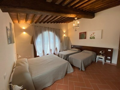 Holiday house Tuscan Farm Home Retreat - Features photo 30