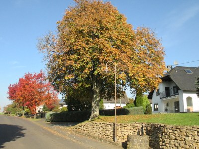 Holiday apartment Alte Schmiede no. 2 - Environment photo 37