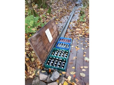 Holiday apartment Alte Schmiede no. 2 - Environment photo 38