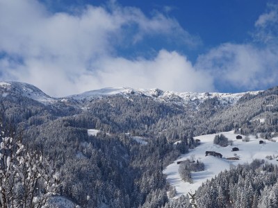 Holiday apartment Zillertal - Environment photo 20