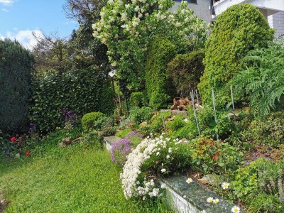 Holiday apartment Vogelparadies - Outdoor photo 2