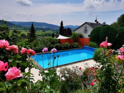 Holiday apartment Vogelparadies - Outdoor photo 3