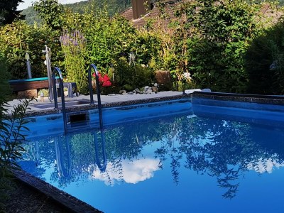 Holiday apartment Vogelparadies - Outdoor photo 4