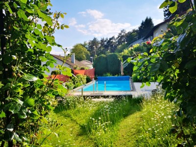 Holiday apartment Vogelparadies - Outdoor photo 5