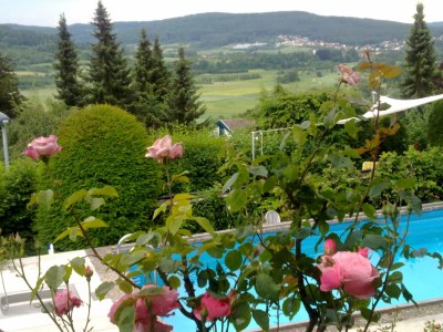 Holiday apartment Vogelparadies - Outdoor photo 9