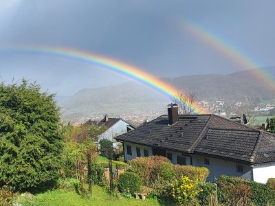 Holiday apartment Vogelparadies - Outdoor photo 10