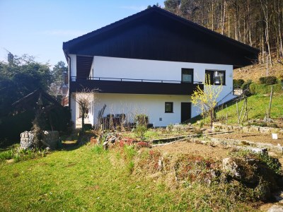 Holiday apartment Vogelparadies - Features photo 20