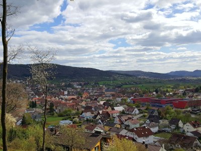 Holiday apartment Vogelparadies - Environment photo 21