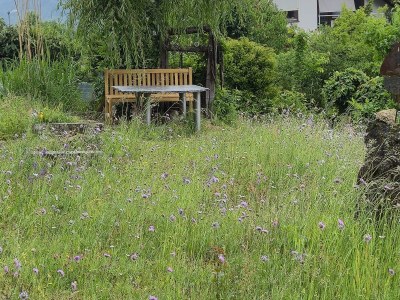 Holiday apartment Vogelparadies - Environment photo 22