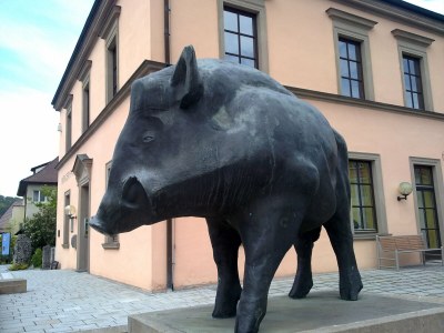 Holiday apartment Vogelparadies - Environment photo 23