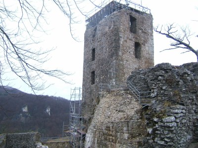 Holiday apartment Vogelparadies - Environment photo 25