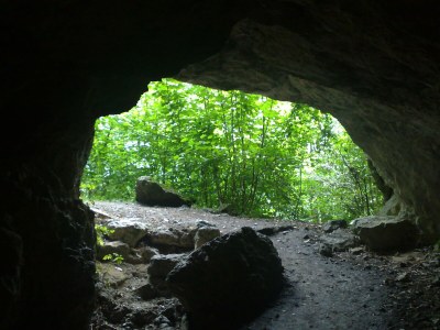 Holiday apartment Vogelparadies - Environment photo 30