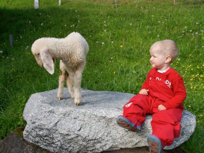 Holiday apartment Panorama - Environment photo 17