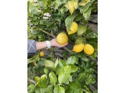 Finca Cascina Borchina Violetta Landgut Traumseeblick - Environment photo 30