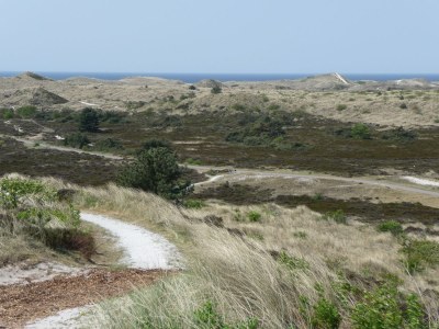 Chalet van Baar - Environment photo 15