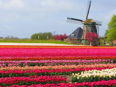 Chalet van Baar - Environment photo 19