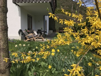 Holiday apartment Ferienwohnung Fronwald Waldwiese 1 - Outdoor photo 3