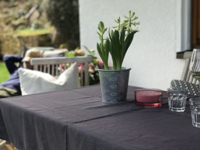 Holiday apartment Ferienwohnung Fronwald Waldwiese 1 - Outdoor photo 4