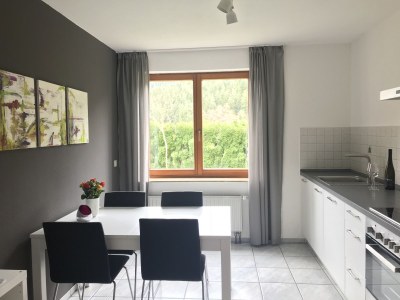 Holiday apartment Ferienwohnung Fronwald Waldwiese 1 - Features photo 8