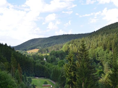 Holiday apartment Ferienwohnung Fronwald Waldwiese 1 - Environment photo 15