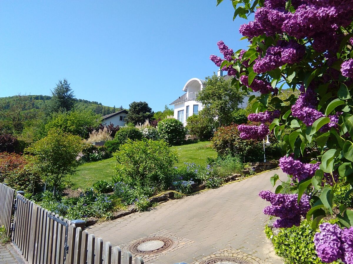 Holiday apartment Überm Tratwingert 41 - Outdoor photo 5