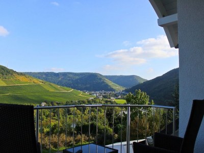 Holiday apartment Überm Tratwingert 41 - Outdoor photo 3