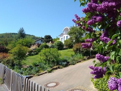 Holiday apartment Überm Tratwingert 41 - Outdoor photo 5