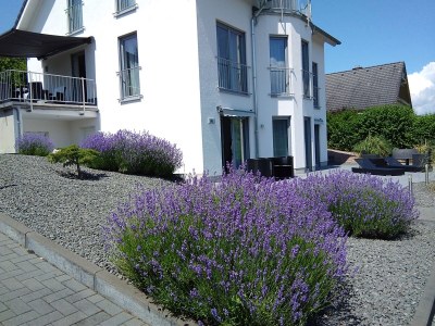 Holiday apartment Überm Tratwingert 41 - Outdoor photo 7