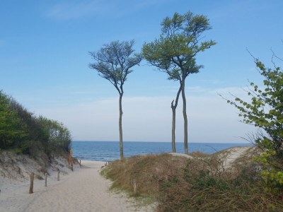 Holiday house - No title - - Environment photo 44