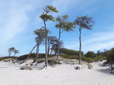 Holiday house - No title - - Environment photo 46