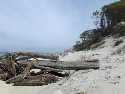 Holiday house - No title - - Environment photo 47