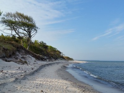 Holiday house - No title - - Environment photo 48