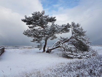 Holiday house - No title - - Environment photo 50