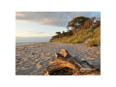 Holiday house - No title - - Environment photo 30