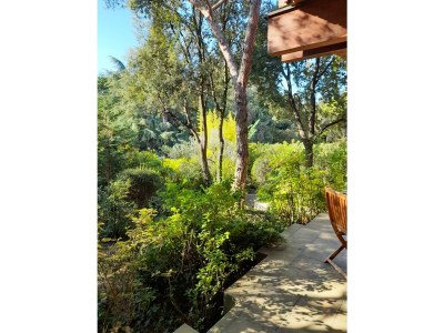 Holiday house Villa Ola & Pit - Outdoor photo 7