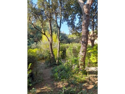 Holiday house Villa Ola & Pit - Outdoor photo 8